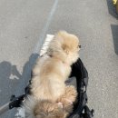 곰곰카페