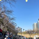 수다1교 이미지