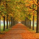 만년경로당 이미지