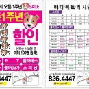 티나댄스팩토리 이미지