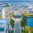 동백꽃필무렵 - 거제시 거제면 | 동백꽃필무렵