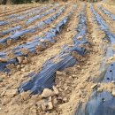 원원농장 이미지