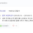 펑요하우스 이미지