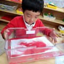 남한산초등학교 병설유치원 이미지