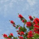 제주혁이네해장국 이미지