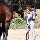 사무엘농장 이미지