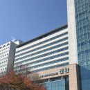 이미영산부인과 | 아산병원 산부인과 이미영교수님 초진 ㅣ 자궁내막증 임산부의 분만법