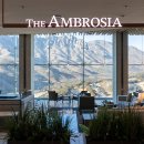 델피노숲 이미지