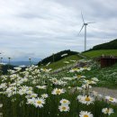 육백마지기 이미지