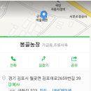 봉골농장 이미지