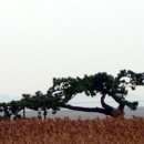 용정5리 이미지