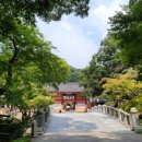 명신관광 이미지