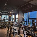 올인피티샵 이미지