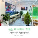 아쿠아쿠 | 동탄 아이랑 가볼만한 곳아쿠아카페 아쿠아쿠 방문 후기