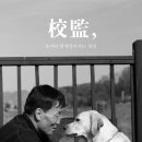 개판오분전 이미지