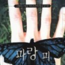 나도파랑 이미지