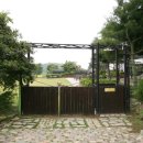 도그랜드 이미지