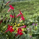 초록바다 이미지