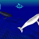 스크린 여행 일본어 이미지