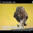 센스노래방 이미지