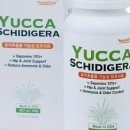 제이에스초이스 이미지