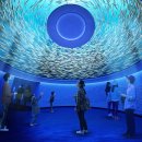 대구신세계백화점 아쿠아리움 조감도 이미지