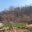산삼고을