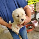 문곡2길 이미지