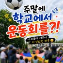 관동초등학교 | 아이들이 또 가자고 난리🤣 함안 강주학교캠프｜물놀이부터 버블파티까지 가격·시설 후기