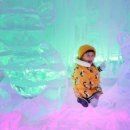 한우마을목장2 이미지