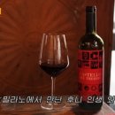 트레비오