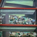스카이드림투어 | 부산 전망대 천마산 복합전망대 스카이워크 모노레일 후기