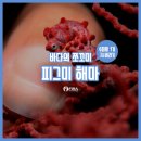 해마수산