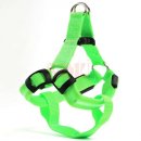 그린애견샵 이미지