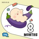 금당토박이 | 임신 후기 [28주-30주] 입체 초음파 • 아기방 꾸미기 • 육아용품 쇼핑 • 육아휴직 • 임산부 일상