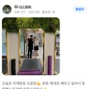 고릴라멀티짐 이미지