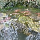 동면 생태친구들 이미지