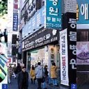 가히애견 이미지