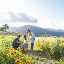 동춘목장 이미지