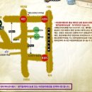 팜카밀레 이미지