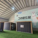 소통농장 | [용인아이와] 그라운드팜 캠핑야미 주말농장 &amp; 바베큐 완벽 후기!