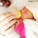 강진 자연드림 | "드디어 아기 울음소리가 커졌다!" 대한민국 출생률 반등의 기적, 2026년 정부가 쏟아붓는 역대급...