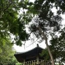 만경강길 3코스 티스토리