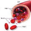 혈소판 수치 높으면, 암 발생 위험 커진다. 이미지