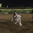 인천문학경기장 이미지