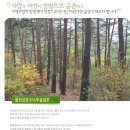 8.24(토)~25(일)/한국의 차마고도 금강소나무숲&백두대간 협곡열차 신청하세요 이미지