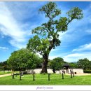 본죽&비빔밥 서산해미점 | 충남 서산 해미읍성