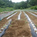 우복농장 이미지