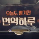 다인생활건강