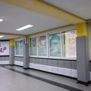 배울태권도장 이미지